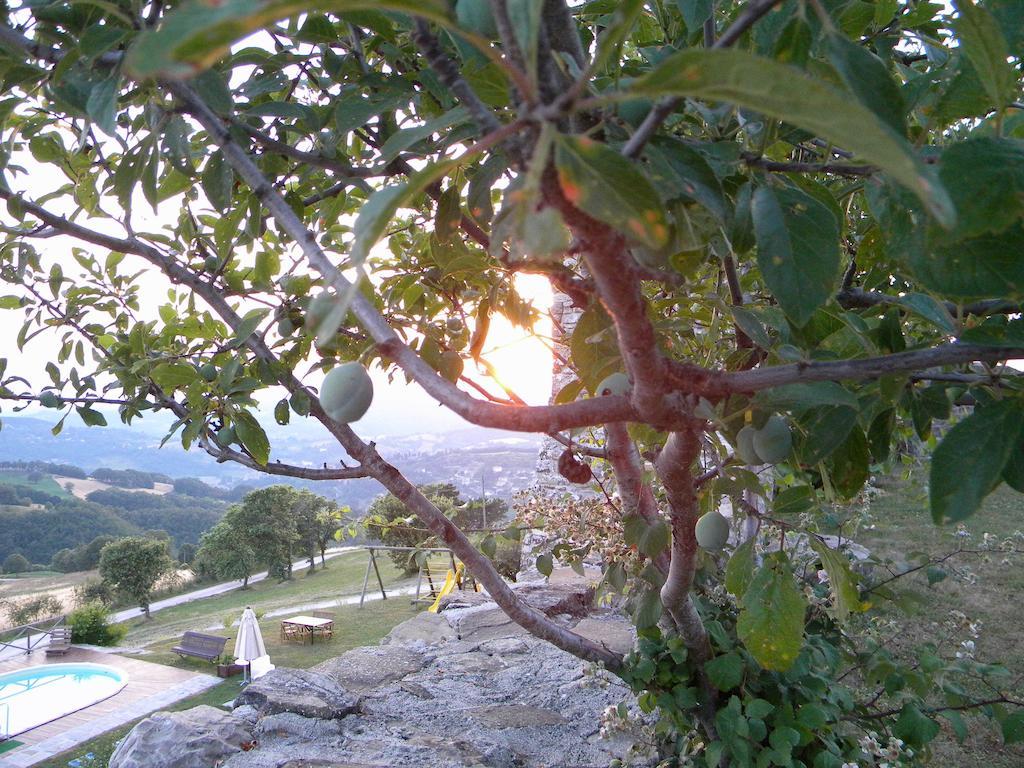 Agriturismo Borgo San Benedetto Villa Pietralunga  Exterior foto